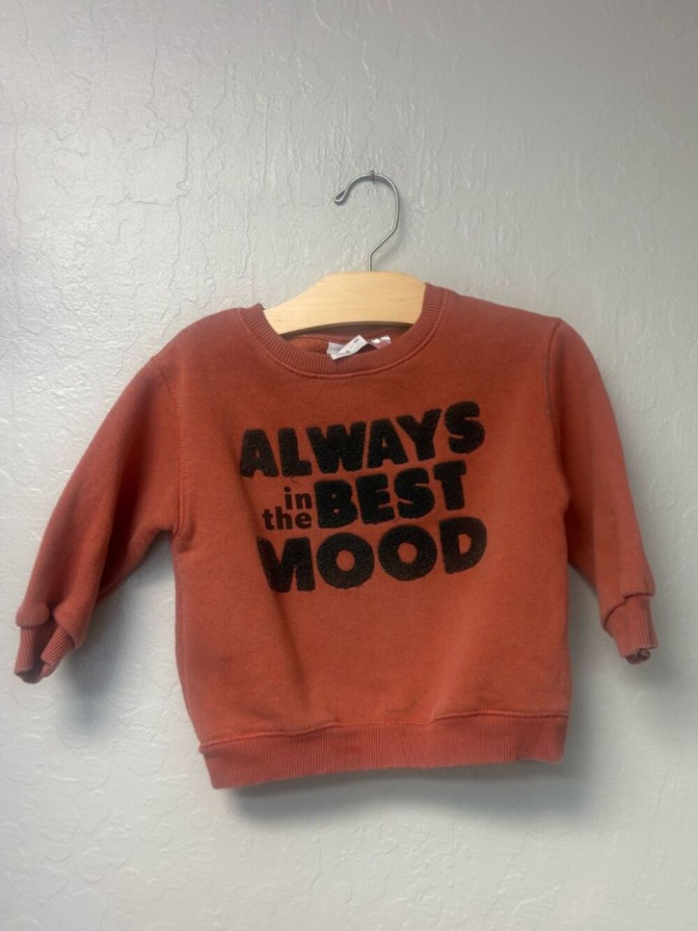 $16‎ ADD ON zara gender neutral sweatshirt 2-3Y Mini Boden Hanna Andersson
